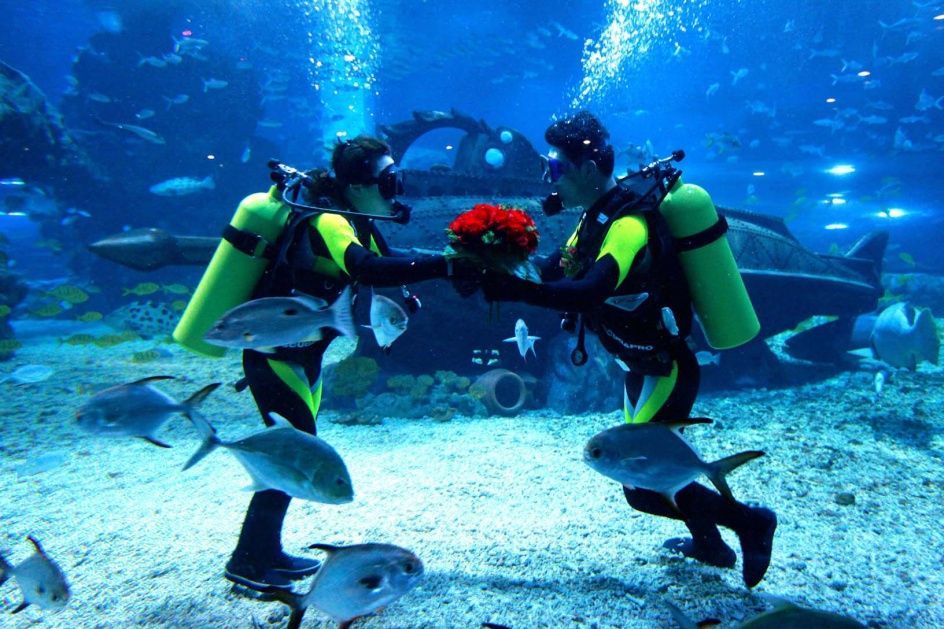 underwater-wedding.jpg