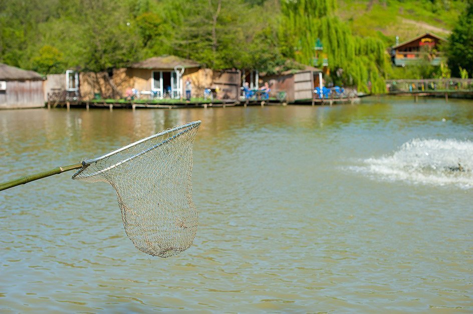 Ачигварское озеро – рай для рыбалки, семейного и корпоративного отдыха
