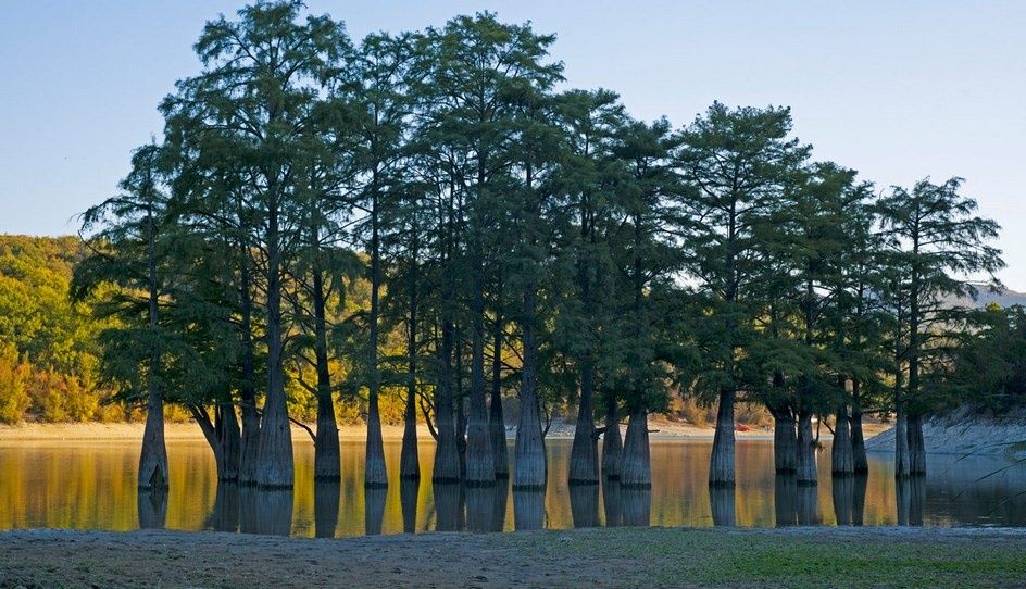 Озеро Сукко с кипарисами