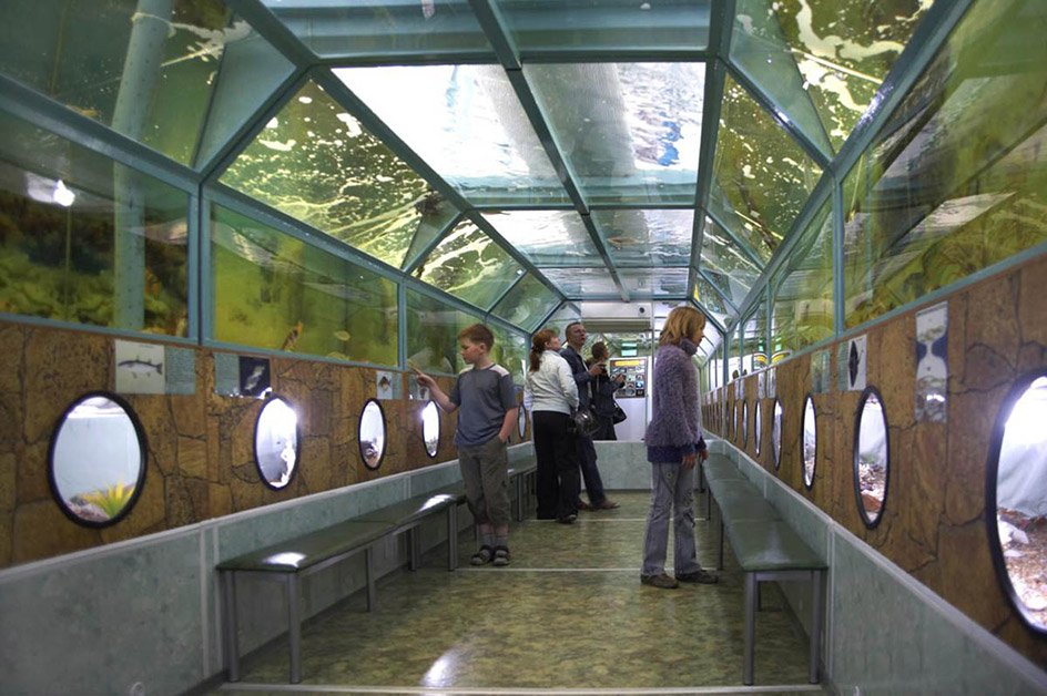 morskoy-tonnelnyy-akvarium-batiskaf.jpg