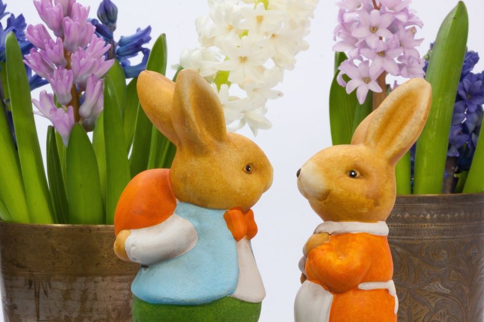 easter-bunny-easter-hare-bunny-couple-wallpaper.jpg