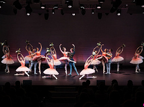 Первый молодежный музыкальный фестиваль «Сириус» завершился выступлением молодых звезд танца