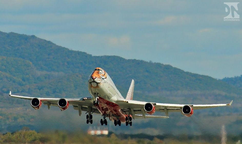 Двухэтажный Боинг747 с тигром на фюзеляже будет летать из Новосибирска в Сочи