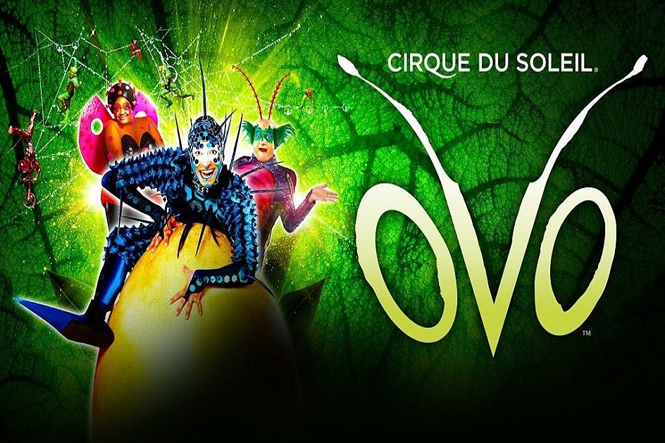 В Сочи Cirque du Soleil с шоу «OVO» 
