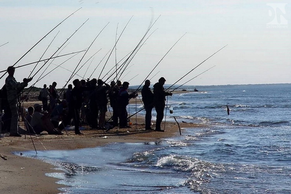 Есть мнение серьезно ограничить лов рыбы в Черном море