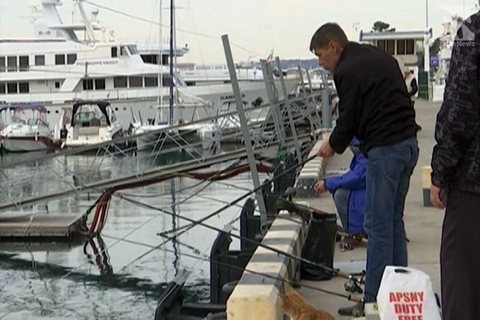 Морпорт Сочи пообещал не мешать дисциплинированным рыбакам ловить рыбу