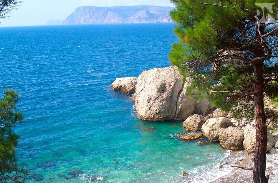 Эксперты в Крыму заявили об улучшении качества воды в Черном море
