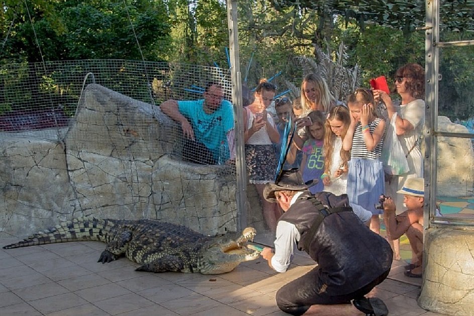 Шоу крокодилов в парке «Ривьера»