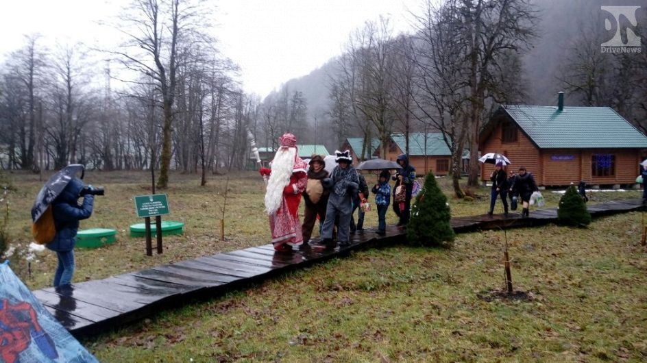 Дед Мороз открыл новогодние елки в Сочи