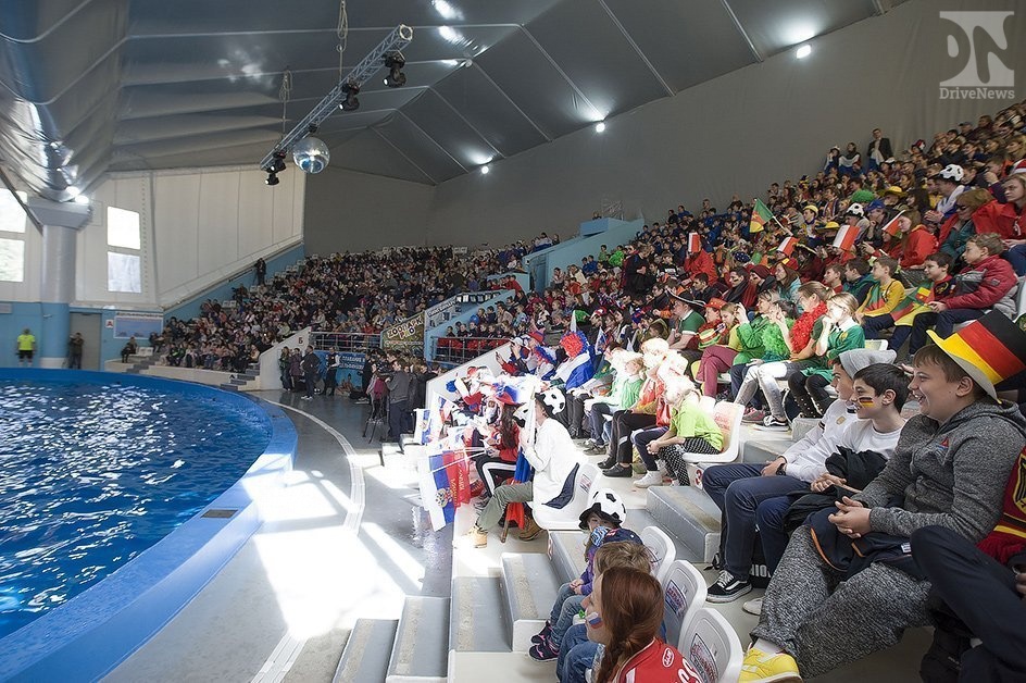 За 100 дней до ЧМ-2018 в Большом Сочинском дельфинарии прошел необычный матч
