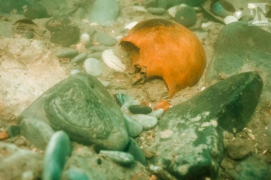 В Фанагории археологи обнаружили череп
