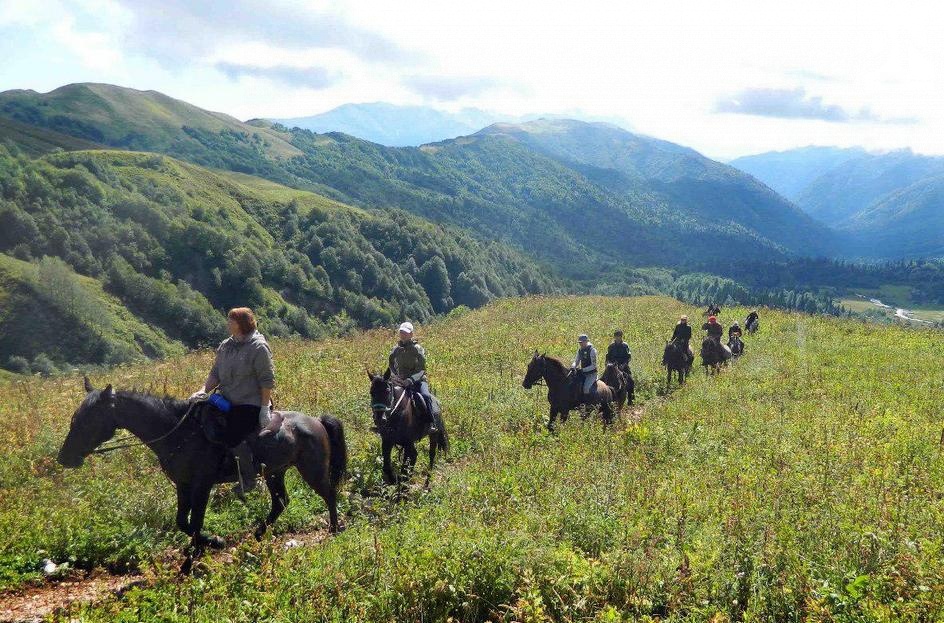 Новые конные маршруты появятся в горной Чечне к лету 2018 года