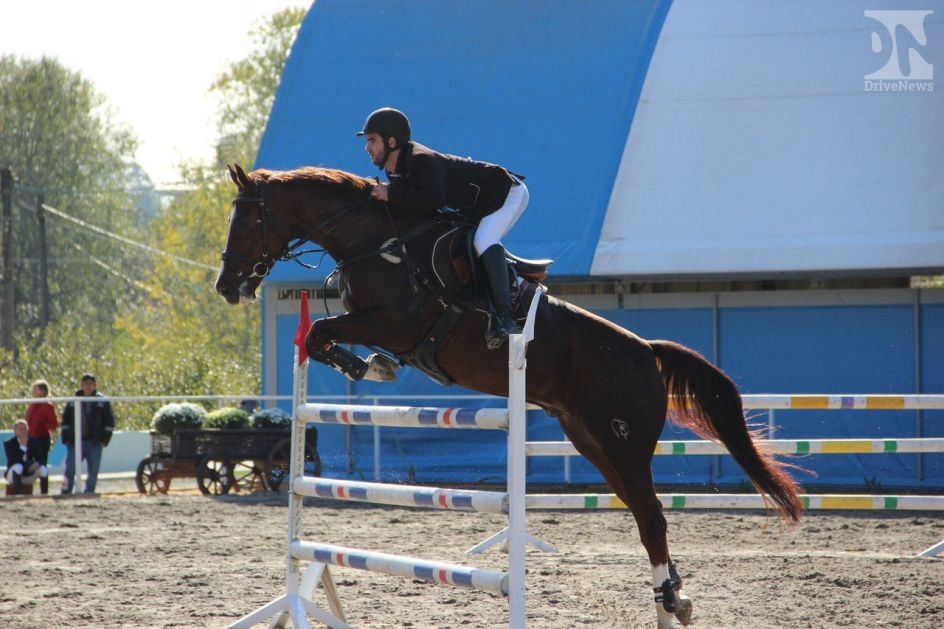 Открыт набор в конно-спортивную школу в Сочи