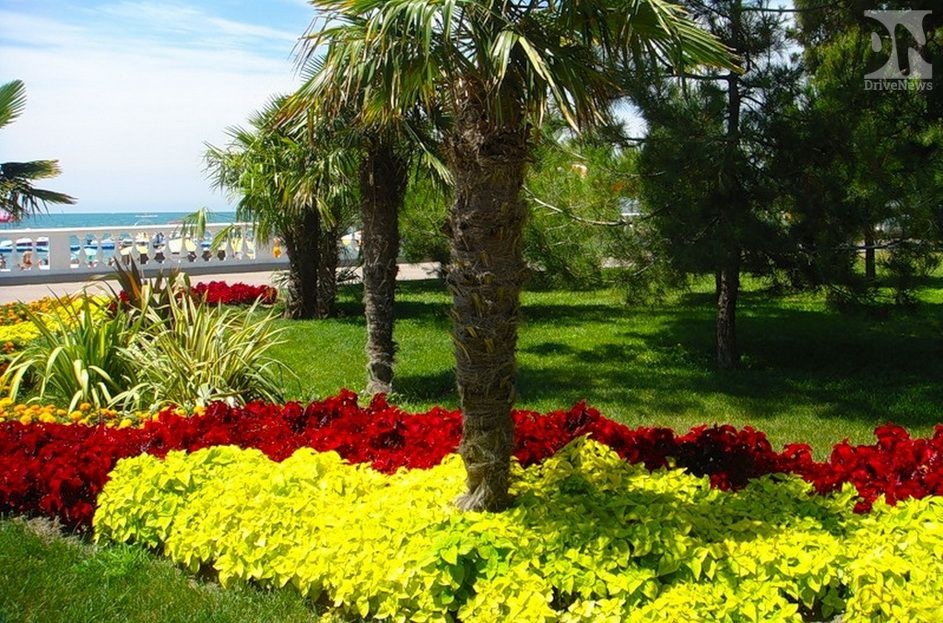 Полмиллиона новых цветов высадят в Геленджике к началу сезона