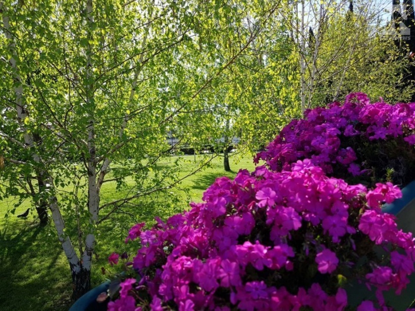 Весна в Сочи